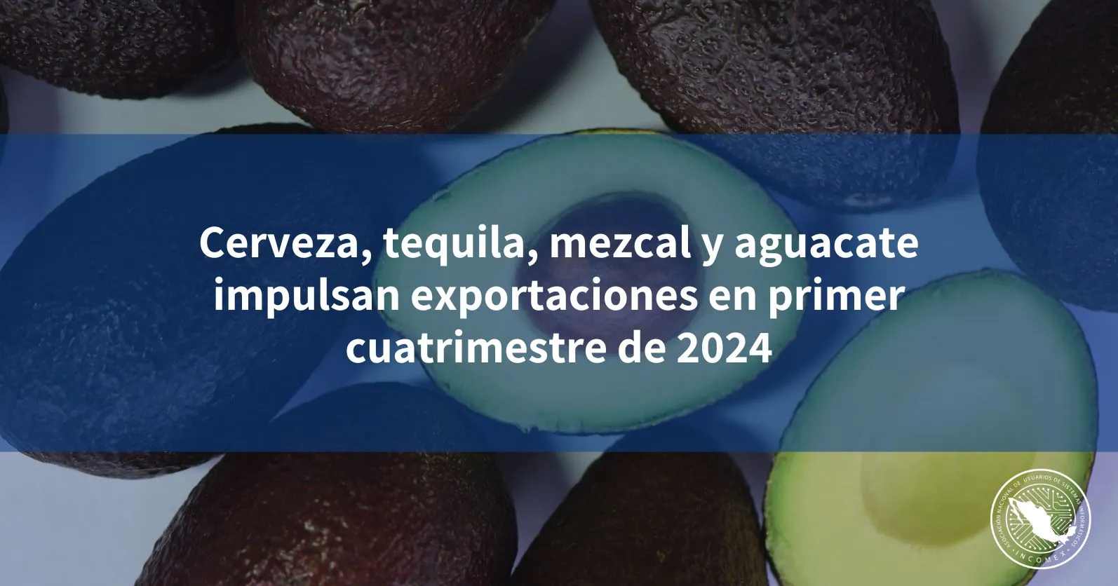 Cerveza y aguacate impulsaron las exportaciones en 2024